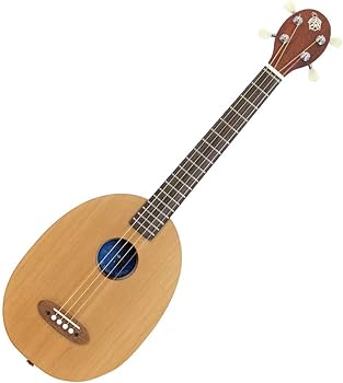 Amazon.co.jp: K.Yairi 奏生 カナイ N 一五一会 (Kヤイリ) : 楽器